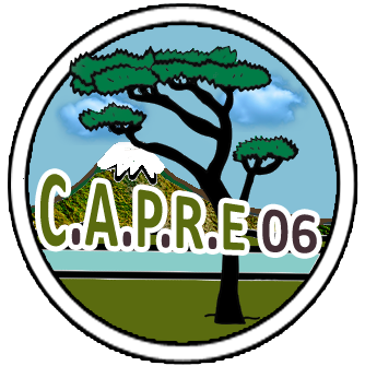 Logo-CAPRE06